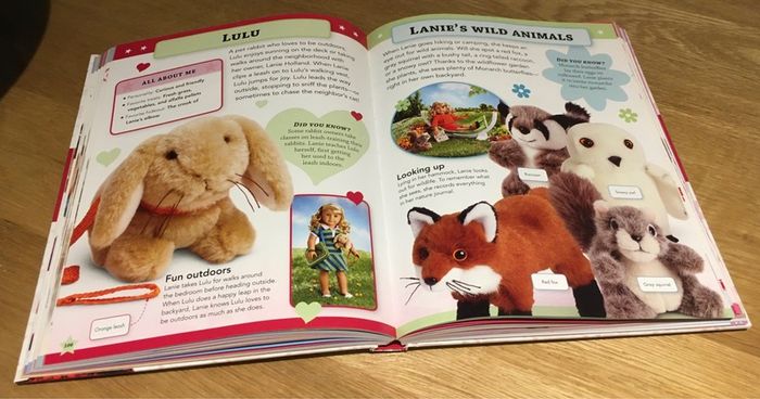 american girl doll book