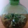 Vintage Viresa Terrarium from 1960s or 1970s.  Green Verdi Glass. Image 8