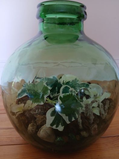 Vintage Viresa Terrarium from 1960s or 1970s.  Green Verdi Glass.