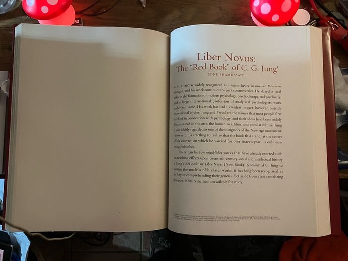 Carl Gustav Jung  :  Liber Novus  (The Red Book)