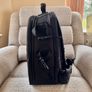 CANON 200D & Extras + New Camera Backpack Image 7