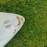 BIC Windsurf Board Image 5