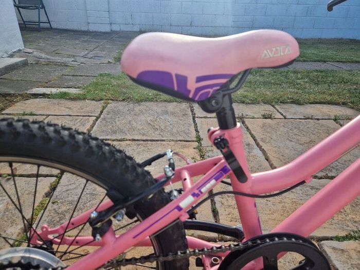 Avoca Mountain Bike 20 inch