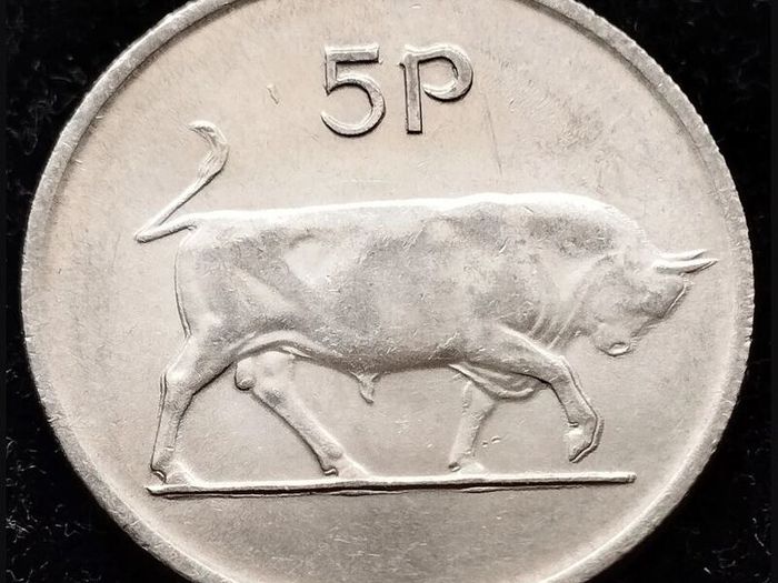 [#81] - Ireland 1986 | ERROR Irish 5p | Five Pence | Bull | KM.22
