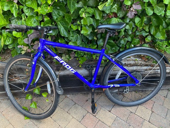 Frog Bike