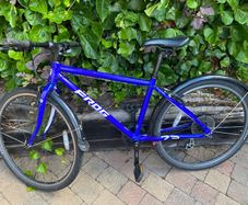 Frog Bike