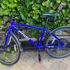 Frog Bike