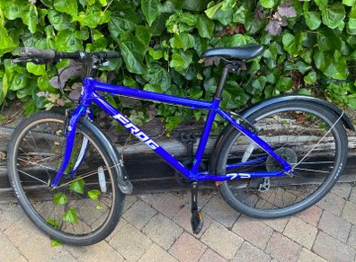 Frog Bike