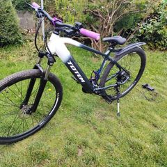 Totem Everest E-mountain bike