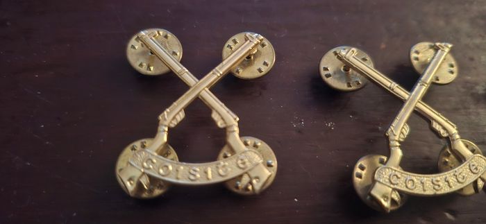 Coisite Irish Infantry collar badges