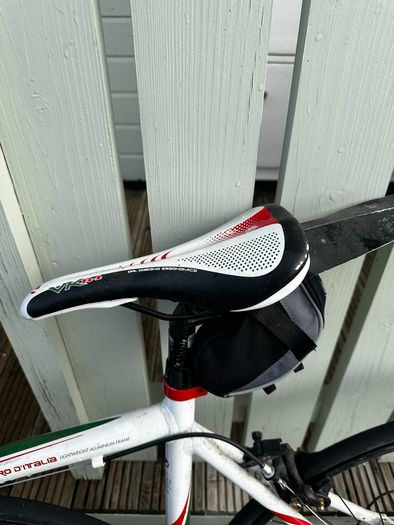 race viking