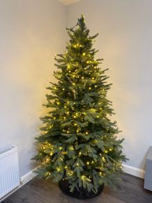 christmass tree