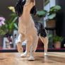 Beswick dog figurine Image 4