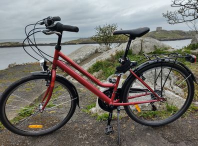 Dema Modet ST 18 inch StepThrough Women's/Ladies/Girls City Bike Fully Serviced