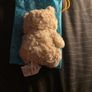 Jellycat bartholmew bear Image 4