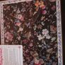 Pimpernel Image 2