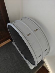 large cat running wheel