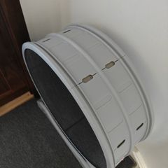 large cat running wheel