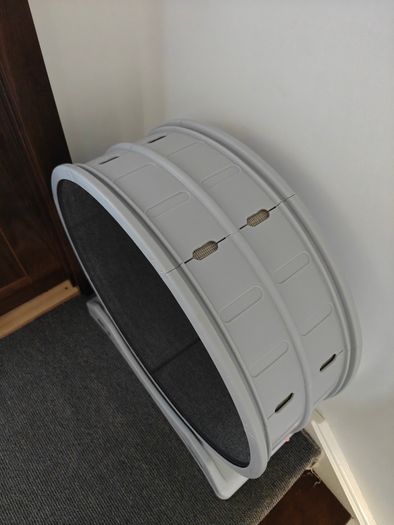 large cat running wheel