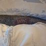 Pregnancy and Maternity Pillow Bellamoon Image 4