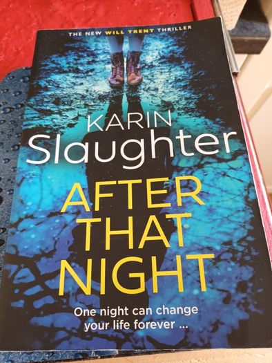 4 books by Karin Slaughter