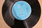 The Pinkees Danger Games 7 inch Vinyl