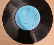The Pinkees Danger Games 7 inch Vinyl