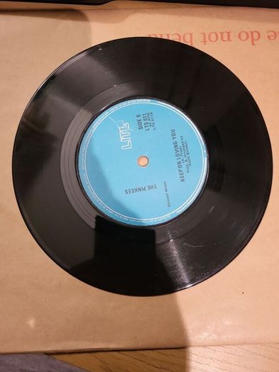 The Pinkees Danger Games 7 inch Vinyl