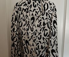 Satin Shirt