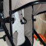 Buggy Image 2