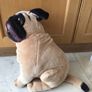 Melissa & Doug Lifelike and Loveable Large Plush Stuffed Pug Dog Realistic 19" Image 3