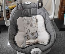 Joie Emeri 2-in-1 Baby Swing and Rocker Fern
