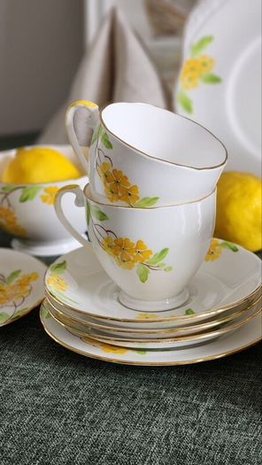 Vintage Royal Grafton Hand-Painted Fine Bone China Tea Set 19 Pieces