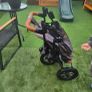 buggy Image 7