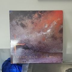 Japan Exercising ghosts 2 vinyl album