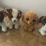 beanie boos Image 5
