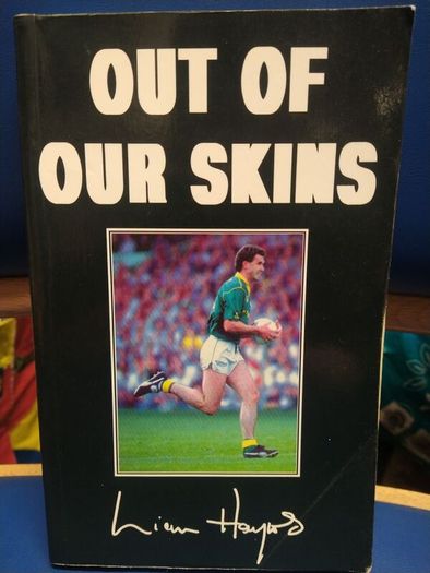 Liam Hayes - Out Of Our Skins