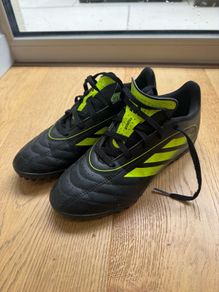 shoe