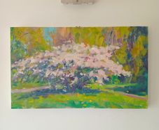 "Cherry Blossoms,Springtime,Clontarf" Large Oil on Canvas Painting.Artist.Norman Teeling.