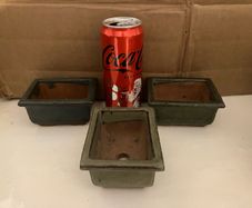pots for bonsai trees small