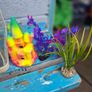 17L Aquarium including filter, heater and 3 decorations Image 9
