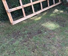 Free Pallet