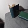 charles dickens bleak house and pickwick papers Image 3