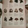 Historic Armour and Gladiators over Malta Image 4