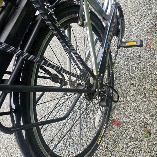 Ladies electric bike