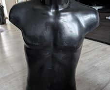 Male torso mannequin