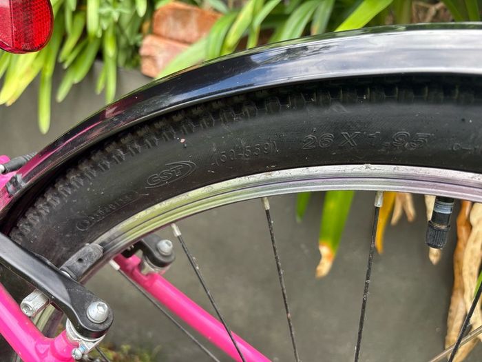 Trek 26 Bike
