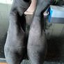 Ladies Boots Image 3