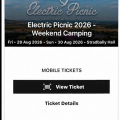 Electric Picnic 4x weekend camping passes