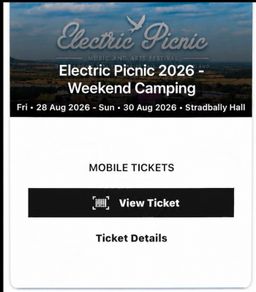 Electric Picnic 4x weekend camping passes